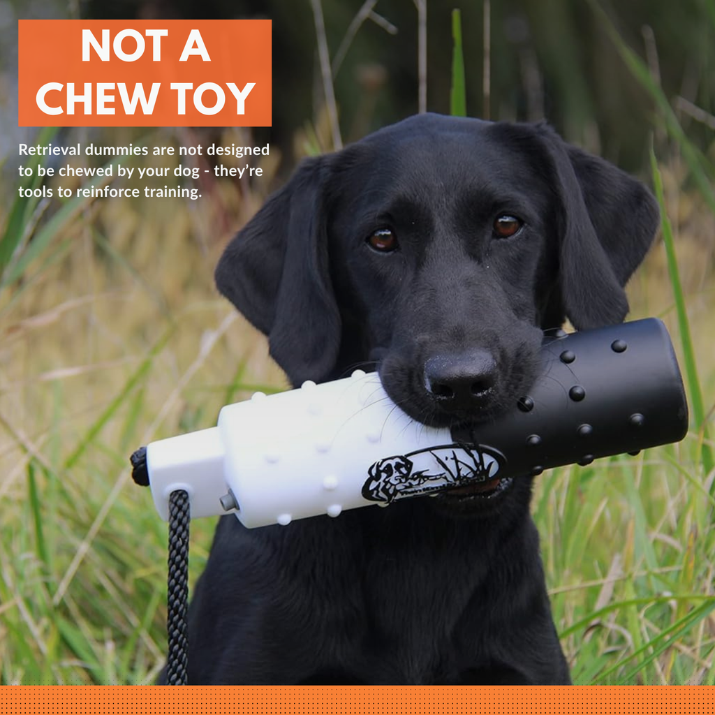 HuntEmUp 3 in Canvas Dog Training Bumper White