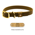 Dog Collar - OD Green